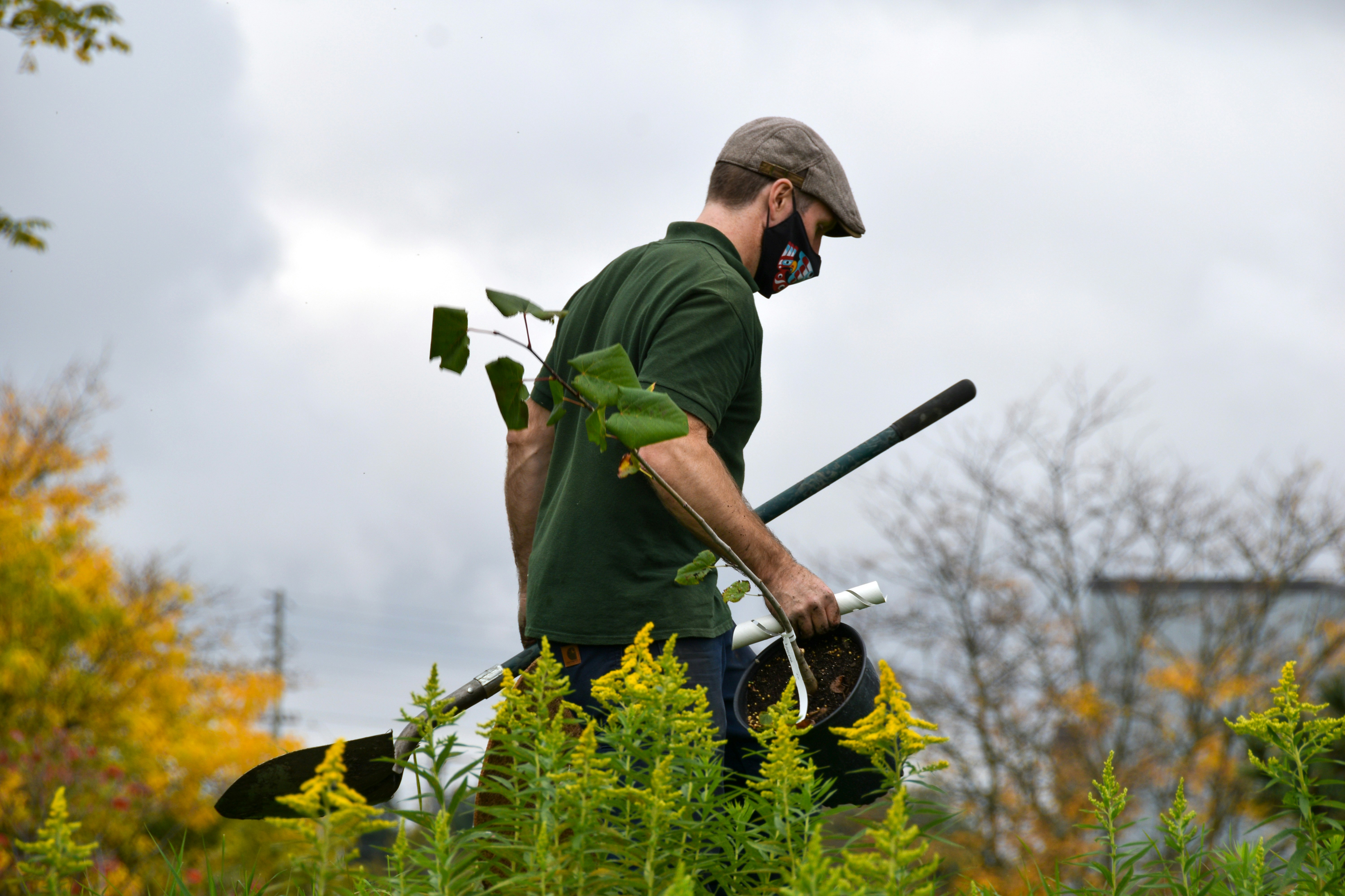 Mill Creek Farm Perennials